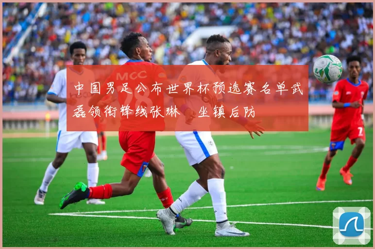 中国男足公布世界杯预选赛名单武磊领衔锋线张琳芃坐镇后防